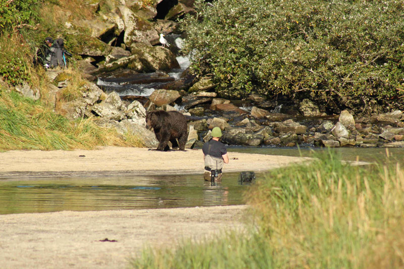 David in Stream